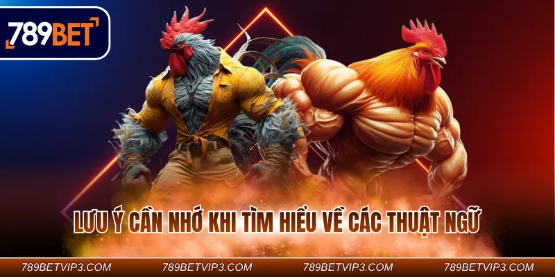 Lưu ý cần nhớ khi tìm hiểu về các thuật ngữ